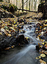 BUITEN BEELD Foto: 329919
