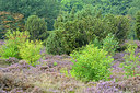 BUITEN BEELD Foto: 329923
