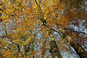 BUITEN BEELD Foto: 329924