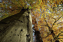 BUITEN BEELD Foto: 329925