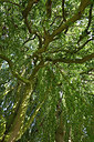 BUITEN BEELD Foto: 329935