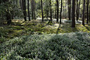 BUITEN BEELD Foto: 329948