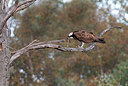 BUITEN BEELD Foto: 330096
