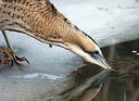BUITEN BEELD Foto: 330107
