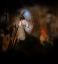 BUITEN BEELD Foto: 330128
