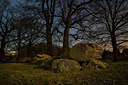 BUITEN BEELD Foto: 330132