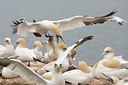 BUITEN BEELD Foto: 330145