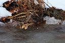 BUITEN BEELD Foto: 330195