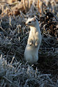 BUITEN BEELD Foto: 330254
