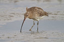 BUITEN BEELD Foto: 330257