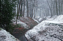 BUITEN BEELD Foto: 330272