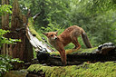 BUITEN BEELD Foto: 330274