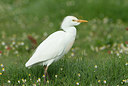 BUITEN BEELD Foto: 330284