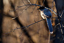 BUITEN BEELD Foto: 330291