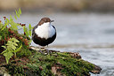 BUITEN BEELD Foto: 330352
