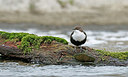 BUITEN BEELD Foto: 330353