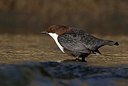 BUITEN BEELD Foto: 330354