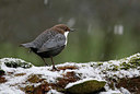 BUITEN BEELD Foto: 330363