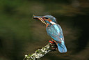 BUITEN BEELD Foto: 330390