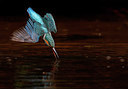 BUITEN BEELD Foto: 330392