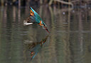 BUITEN BEELD Foto: 330393