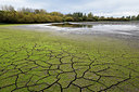 BUITEN BEELD Foto: 330404