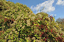 BUITEN BEELD Foto: 330409