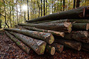 BUITEN BEELD Foto: 330416