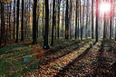 BUITEN BEELD Foto: 330417
