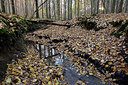BUITEN BEELD Foto: 330420