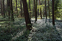 BUITEN BEELD Foto: 330435