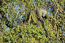 BUITEN BEELD Foto: 330441