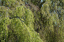 BUITEN BEELD Foto: 330442