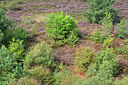 BUITEN BEELD Foto: 330462