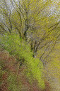 BUITEN BEELD Foto: 330483