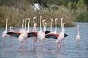 BUITEN BEELD Foto: 330631