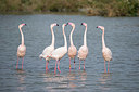 BUITEN BEELD Foto: 330632
