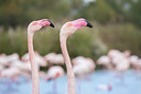 BUITEN BEELD Foto: 330646