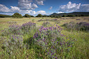 BUITEN BEELD Foto: 330884