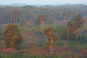 BUITEN BEELD Foto: 330893