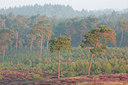 BUITEN BEELD Foto: 330894