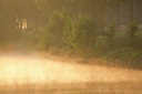 BUITEN BEELD Foto: 330975