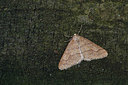 BUITEN BEELD Foto: 330980