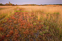 BUITEN BEELD Foto: 330989