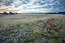 BUITEN BEELD Foto: 330993