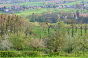 BUITEN BEELD Foto: 331000