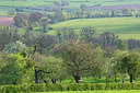 BUITEN BEELD Foto: 331002