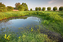 BUITEN BEELD Foto: 331005