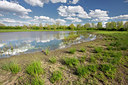 BUITEN BEELD Foto: 331037