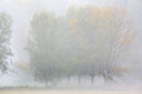 BUITEN BEELD Foto: 331038